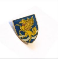 Lapel pin