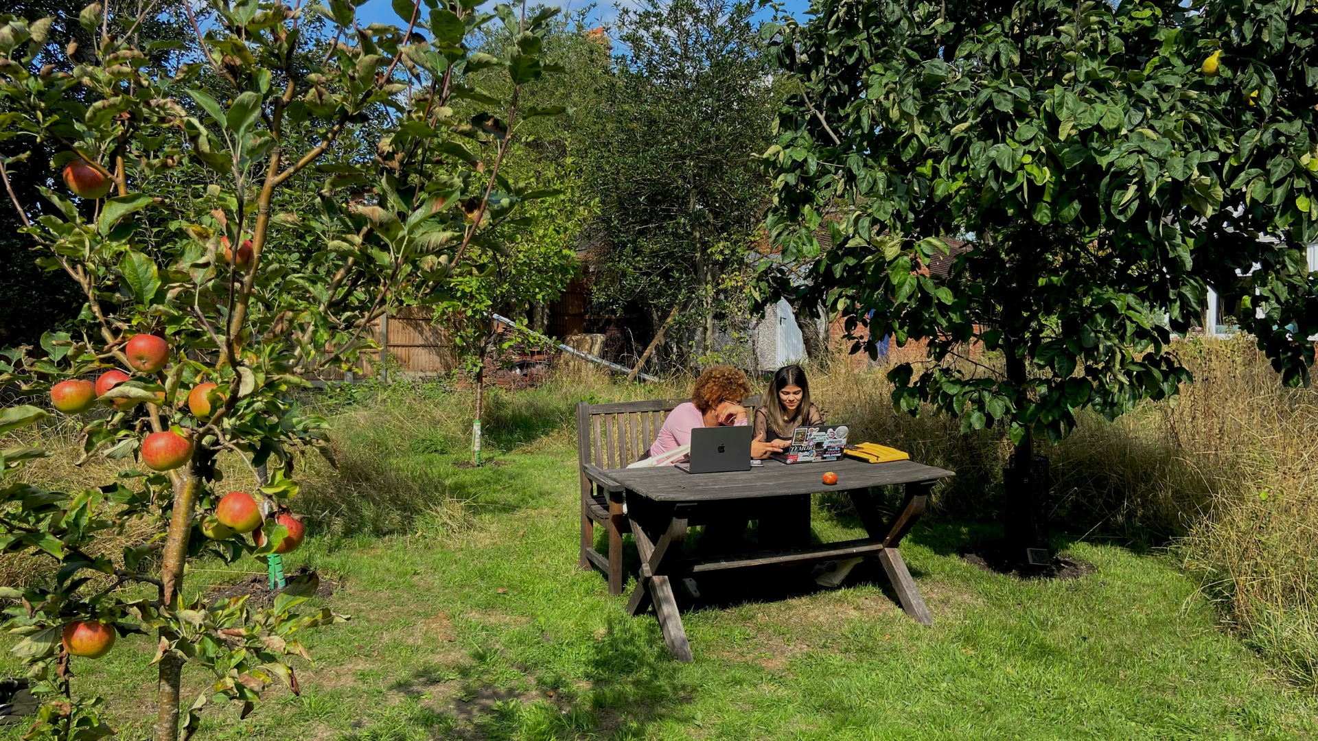 Experience University Life