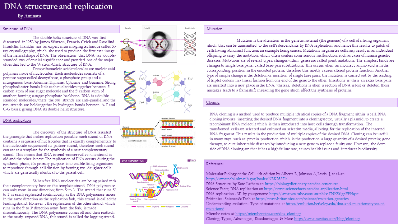 Aminata, Year 12