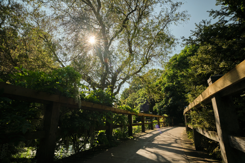 2. Walk across the bridge into the gardens...