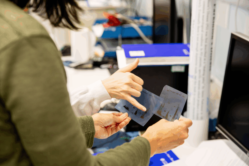 Health Services & Information