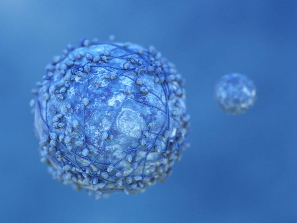 Cancer cells