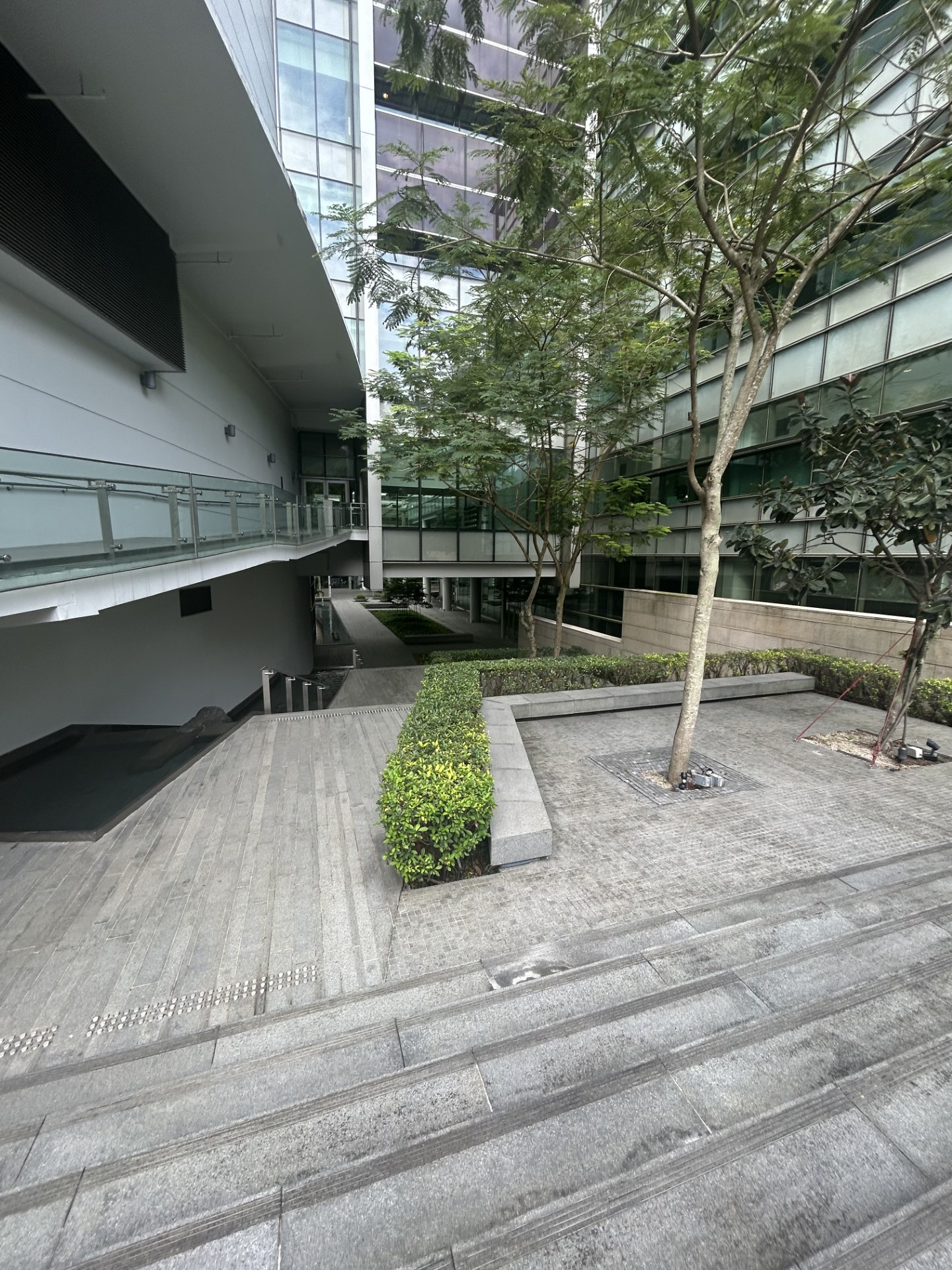 The inner courtyard in the modern office building with trees growing in the centre