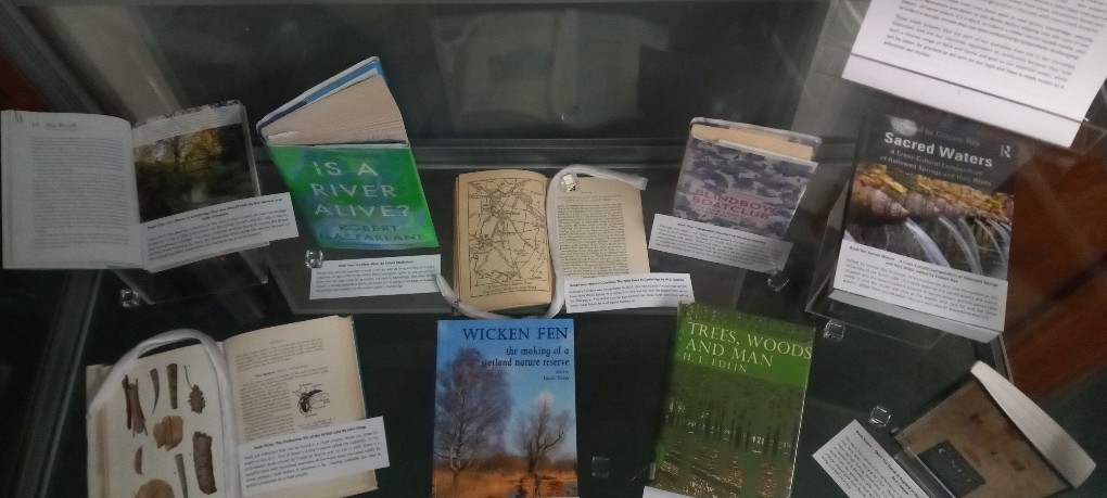 Library display 3
