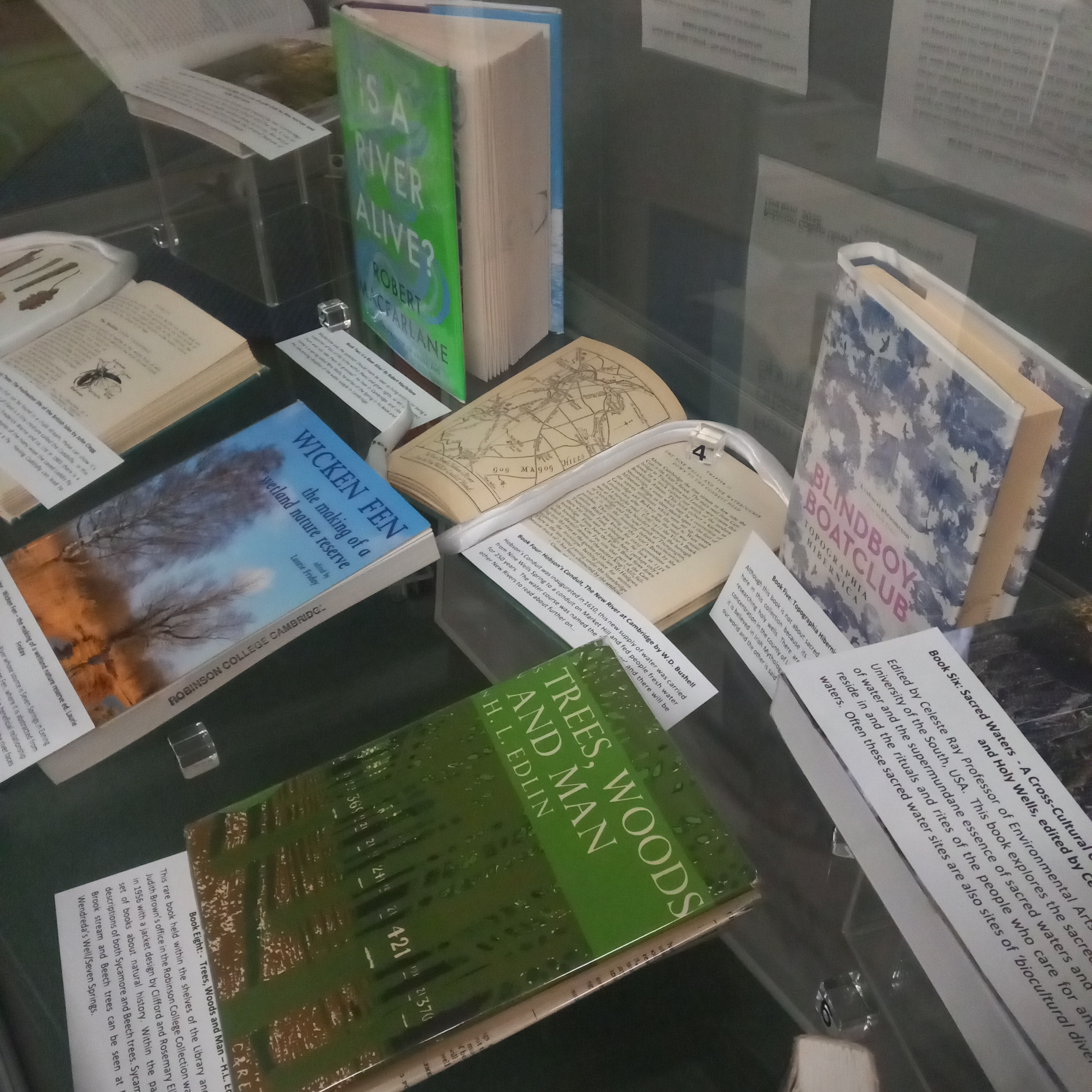 Library display 1