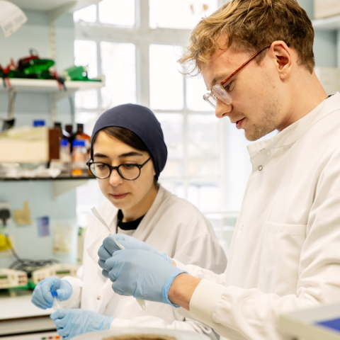 Students in pathology lab