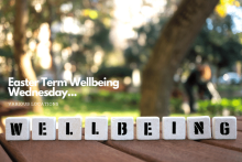 Scrabble letters spelling out the word wellbeing on a table in the sun