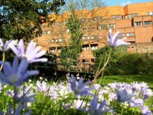 Spring gardens of a university college.