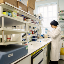 STEMM student at work in the lab