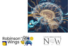 Image of a brain in blue & yellow