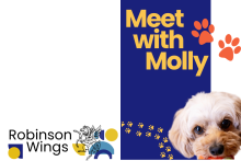 Photo of Molly the Wellbeing Dog.